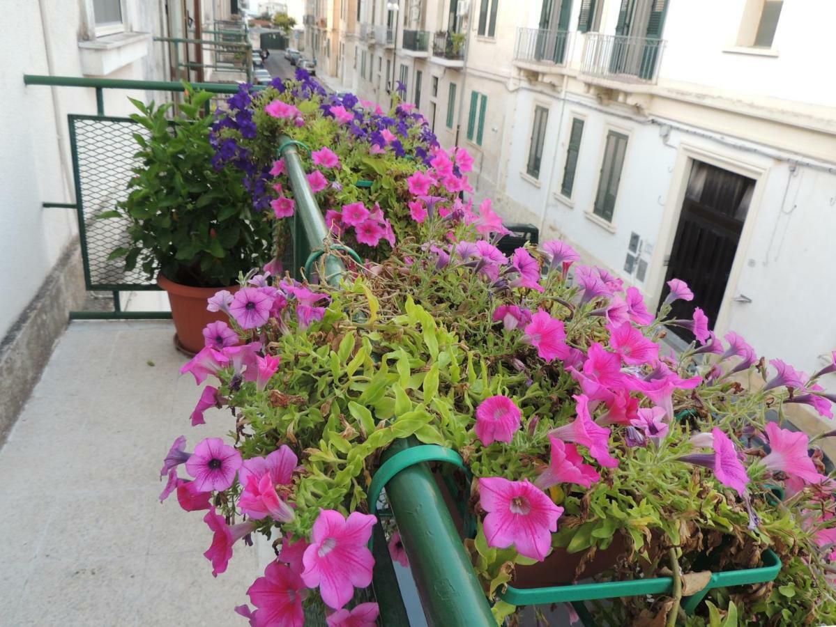 Amelie Bed & Breakfast